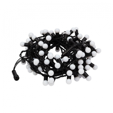 Neon-Night 303-509-2