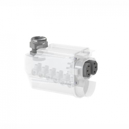LEDEL 250005