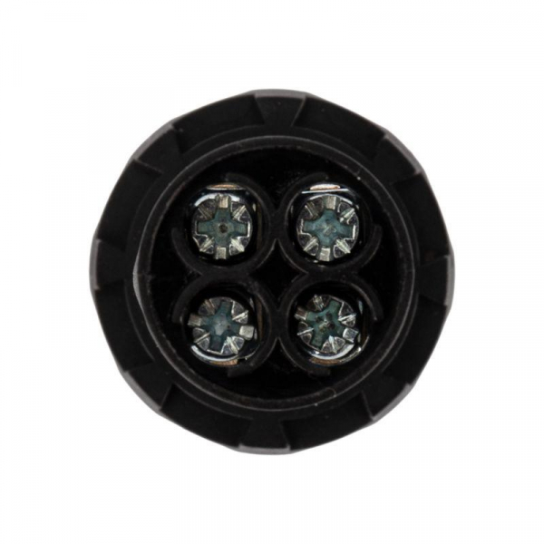 Rexant 36-5531