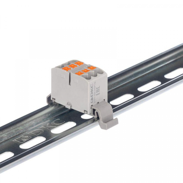 DTP1-006-04SPUR