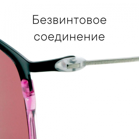  NOL6ENNC