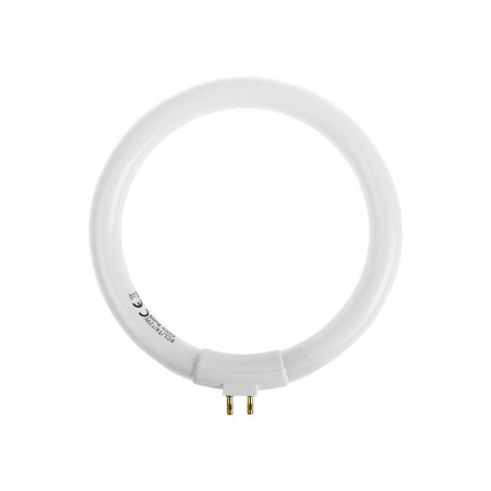 Rexant 31-0808