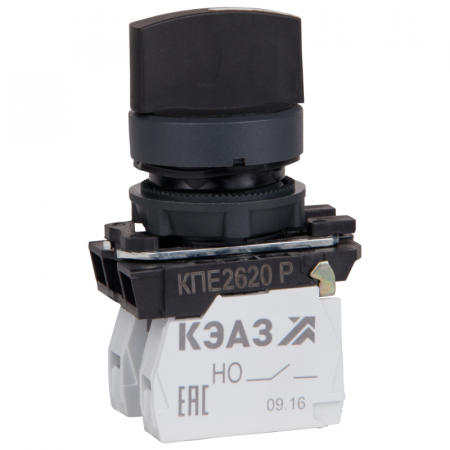 КЭАЗ 248267