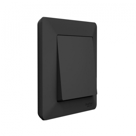 Systeme Electric ATN221001