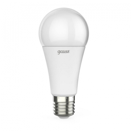 GAUSS 102502116