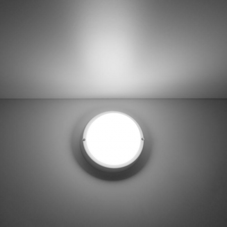 GAUSS 126411208