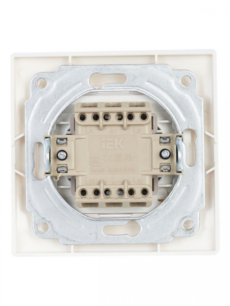 GENERICA EVK10-K01-10-DM