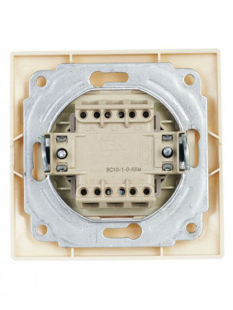 GENERICA EVK10-K33-10-DM