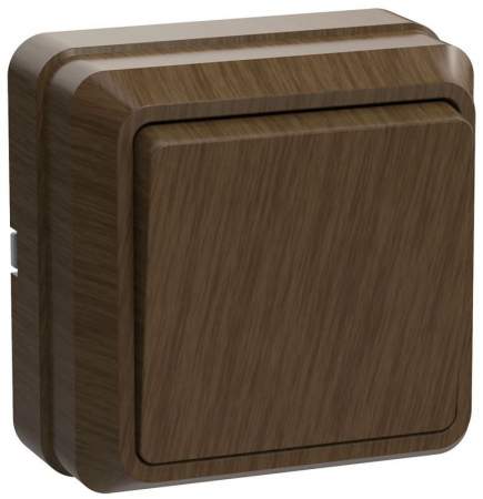 GENERICA EVO10-K04-10-DC