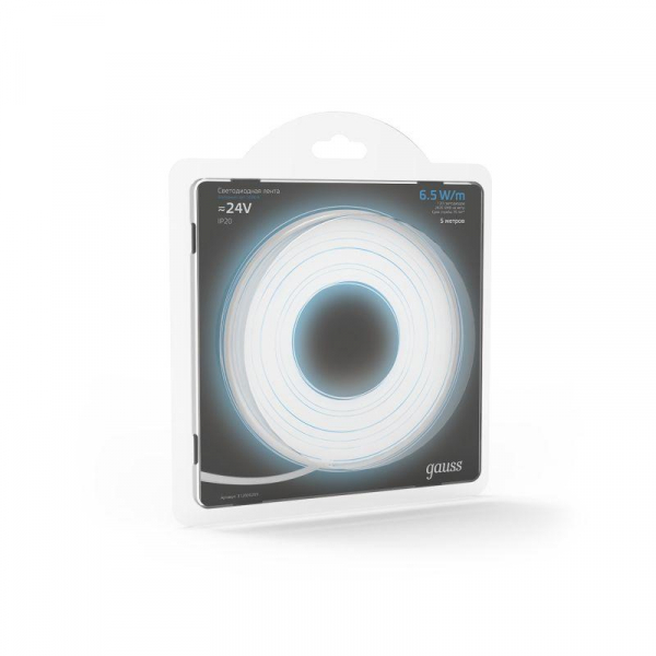 GAUSS 312000265
