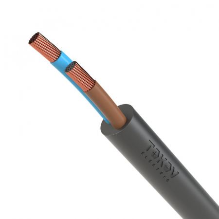 TOKOV ELECTRIC КПП 1945477