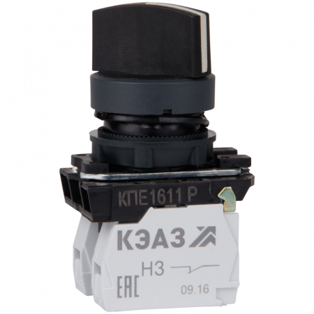 КЭАЗ 248268